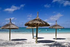 Enjoy the shade under one of these palapa umbrellas