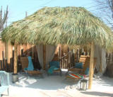 Tiki hut pool side with real palm thatch